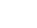 Logótipo Borvo SC